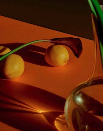 A cover of "Bodegones WARM TONES" cluster. The owner is dandisotto. The cluster consists of 15 elements.