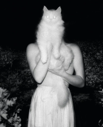 A cover of "Ideas for photos" cluster. The owner is hololo. The cluster consists of 4 elements.