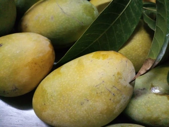 A cover of "Mood board 🍦" cluster. The owner is mariahwhitt. The cluster consists of 16 elements.