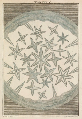 Camphor (Vol. 1)