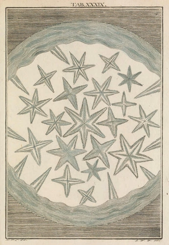 A cover of "Goodnight" cluster. The owner is verybissy. The cluster consists of 33 elements.