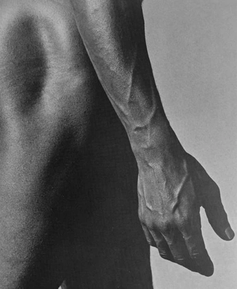 A cover of "anatomy" cluster. The owner is anikets. The cluster consists of 1 element.