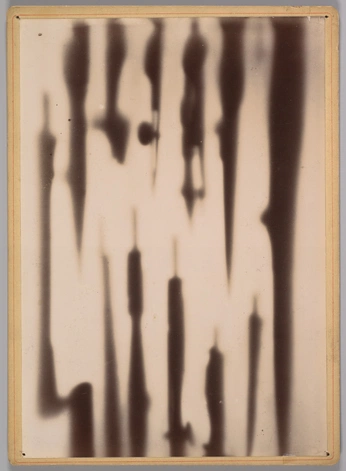 A cover of "BLK&WHT" cluster. The owner is faceourlies. The cluster consists of 16 elements.