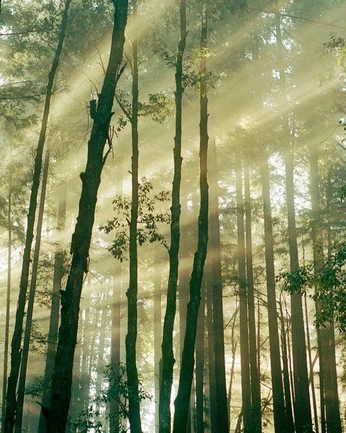 A cover of "Decors univers" cluster. The owner is briochetricolore. The cluster consists of 36 elements.