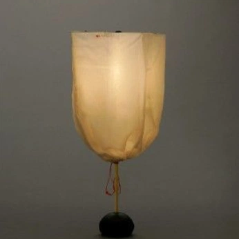 A cover of "pieces" cluster. The owner is lp001. The cluster consists of 61 elements.