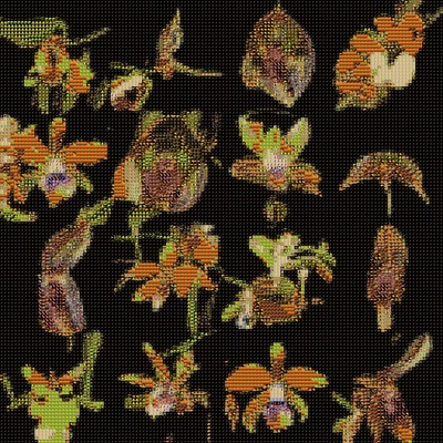 An Instagram carousel post added by backpainbaby on Sep 10, 2023. The author is @sofiacrespo.