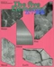 Cover of bl!ps cluster
