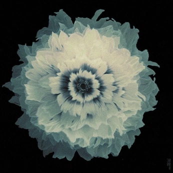 A cover of "QR" cluster. The owner is koweh. The cluster consists of 19 elements.