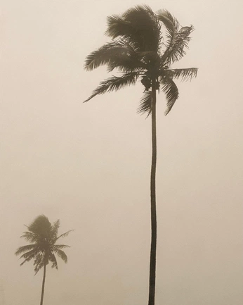 A cover of "warmth" cluster. The owner is aimerey. The cluster consists of 28 elements.