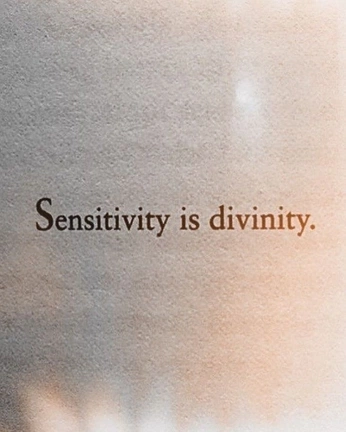 A cover of "𖦹" cluster. The owner is ella213. The cluster consists of 3 elements.