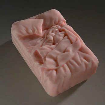 A cover of "Erles room" cluster. The owner is beans123. The cluster consists of 1 element.