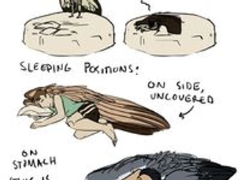 A cover of "worldbuilding" cluster. The owner is corestarlight. The cluster consists of 1 element.