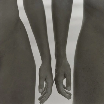 A cover of "photography" cluster. The owner is vyelxv. The cluster consists of 114 elements.