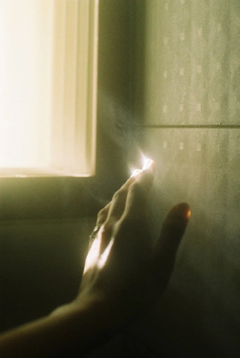 A cover of "F im" cluster. The owner is nao99. The cluster consists of 2 elements.