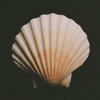 A cover of "Nature" cluster. The owner is haranamorim. The cluster consists of 36 elements.