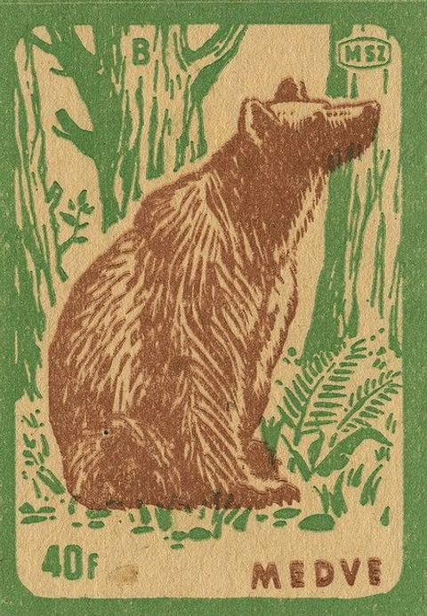 A matchbox label printed in brown and green on tan: a bear sitting among ferns and trees, the word Medve under it.