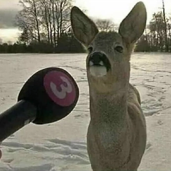 A cover of "core" cluster. The owner is nailaleonn. The cluster consists of 48 elements.