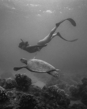 A cover of "love" cluster. The owner is starlighty. The cluster consists of 4 elements.