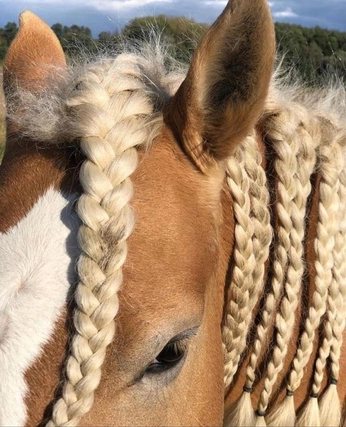 A cover of "HF concept new" cluster. The owner is evaharley. The cluster consists of 60 elements.