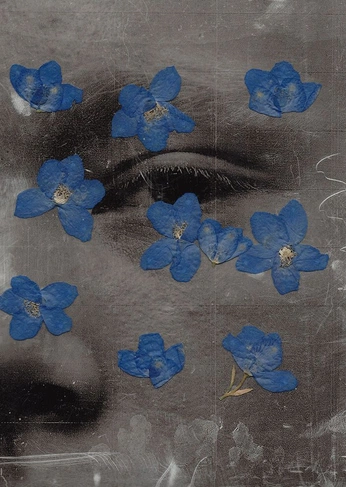 A cover of "interesting." cluster. The owner is justinedobbelaer. The cluster consists of 1 element.