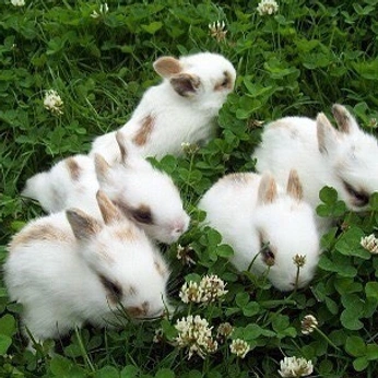 A cover of "march-april" cluster. The owner is kelsey. The cluster consists of 92 elements.