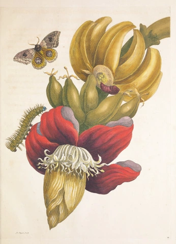 A cover of "insects" cluster. The owner is z037k. The cluster consists of 22 elements.