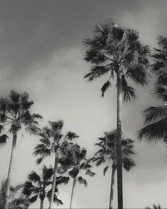 A cover of "🌴2013-2019 nostagia🪐" cluster. The owner is cheis. The cluster consists of 22 elements.