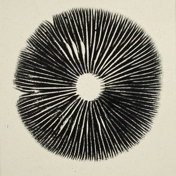 A cover of "science and earth" cluster. The owner is kateyounghans. The cluster consists of 50 elements.