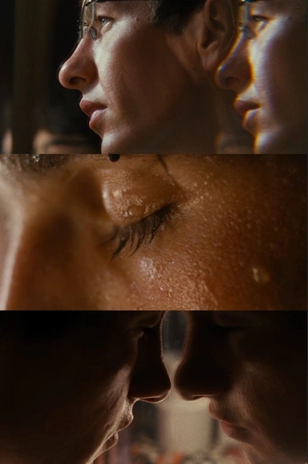 A cover of "SHOTLIST INSPO" cluster. The owner is bnlsci. The cluster consists of 11 elements.