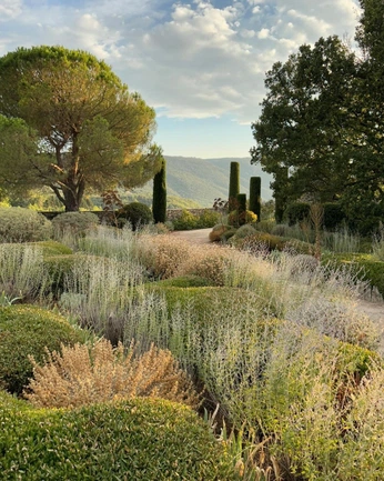 A cover of "Landscape" cluster. The owner is inellet. The cluster consists of 1 element.