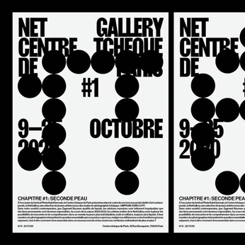 A cover of "poster design" cluster. The owner is bobbysobs. The cluster consists of 2 elements.