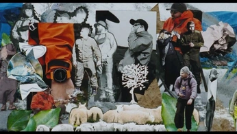 A cover of "cool uncle" cluster. The owner is theantfarm.xyz. The cluster consists of 20 elements.