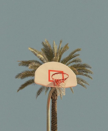 A cover of "Ball Mates" cluster. The owner is hall3. The cluster consists of 12 elements.