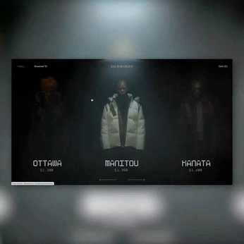 A cover of "Interaction Web" cluster. The owner is segan. The cluster consists of 1 element.