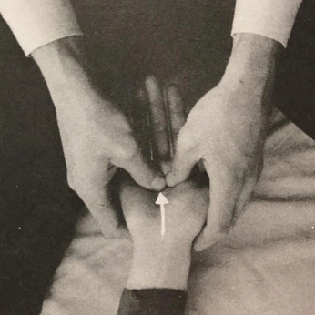 A cover of "marta" cluster. The owner is eliapezteguia. The cluster consists of 6 elements.