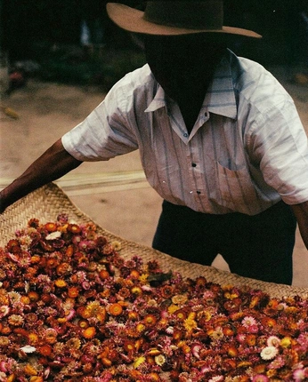 A cover of "Flowers" cluster. The owner is itsmewaleska. The cluster consists of 3 elements.