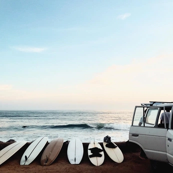 A cover of "SURF" cluster. The owner is davidfate. The cluster consists of 7 elements.