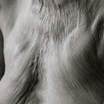 A cover of "workshop" cluster. The owner is tessaa. The cluster consists of 2 elements.