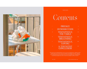 A cover of "Dyan Zine" cluster. The owner is whitneydyanjones. The cluster consists of 2 elements.