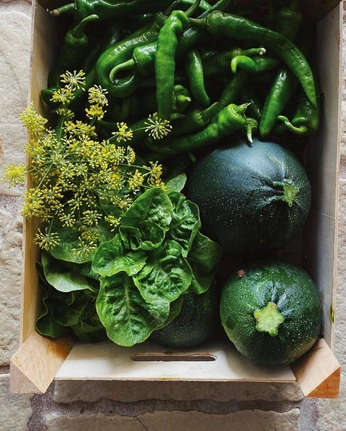 A cover of "Grocery store" cluster. The owner is anyaaap. The cluster consists of 23 elements.