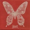 Cover of Butterfly �... cluster