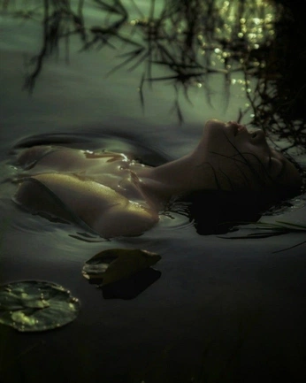 A cover of "Portrait Inspo" cluster. The owner is wynterlavendel. The cluster consists of 3 elements.