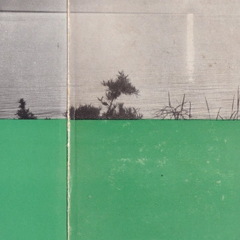 A cover of "color" cluster. The owner is kaajsaa. The cluster consists of 14 elements.