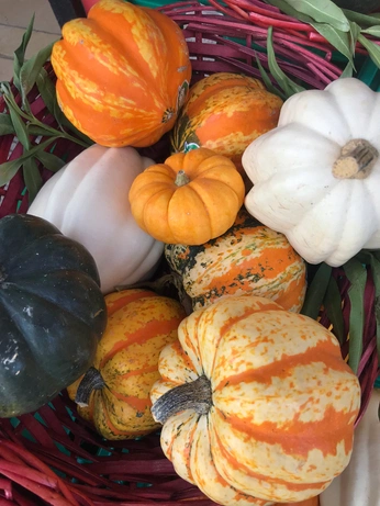 A cover of "Ffff" cluster. The owner is malamene. The cluster consists of 1 element.