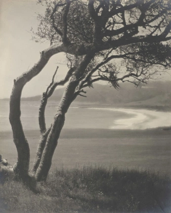 A cover of "Art" cluster. The owner is mishellegonzalez. The cluster consists of 22 elements.