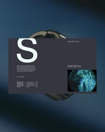 A cover of "Web" cluster. The owner is sensual.world. The cluster consists of 321 elements.