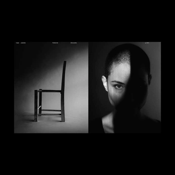 A cover of "<WEB>" cluster. The owner is canario. The cluster consists of 9 elements.