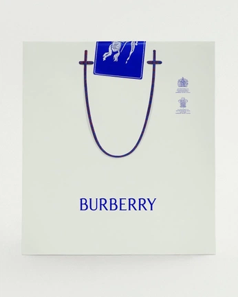 A cover of "Experiência (PDCs)" cluster. The owner is samuelferraz. The cluster consists of 3 elements.