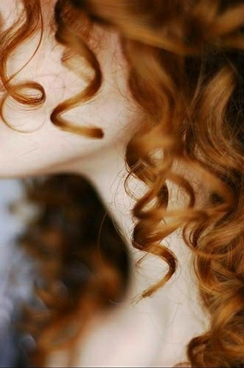 A cover of "xmas vid" cluster. The owner is molmathews. The cluster consists of 11 elements.