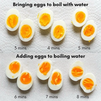 A cover of "food" cluster. The owner is esmeawright. The cluster consists of 1 element.